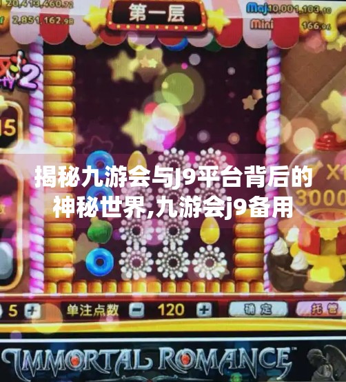 揭秘九游会与J9平台背后的神秘世界,九游会j9备用