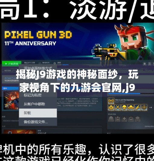 揭秘J9游戏的神秘面纱，玩家视角下的九游会官网,j9九游会官方网站入口