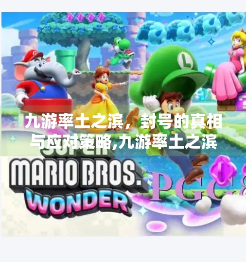 九游率土之滨,封号的真相与应对策略,九游率土之滨会封号吗 九游率土之滨,封号的真相与应对策略,九游率土之滨会封号吗