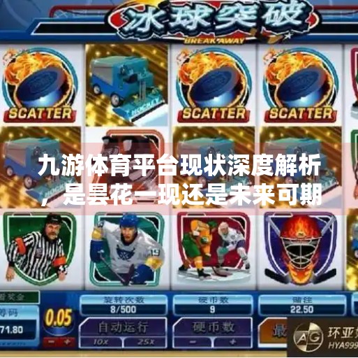 九游体育平台现状深度解析,是昙花一现还是未来可期?九游体育平台怎么样了 九游体育平台现状深度解析,是昙花一现还是未来可期?九游体育平台怎么样了