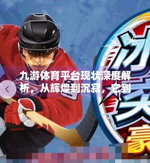 九游体育平台现状深度解析，从辉煌到沉寂，它到底怎么了？九游体育平台怎么样了啊